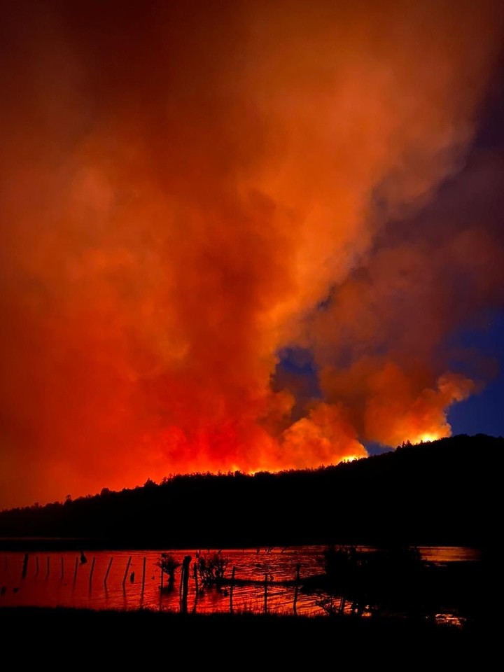 Incendio en el Parque Nacional Los Alerces, en Chubut.