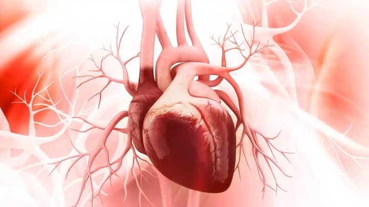 El kiwi puede ayudar a la salud del corazón y las arterias.