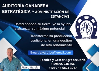 WhatsApp Image 2026 02 09 at 3.43.53 PM