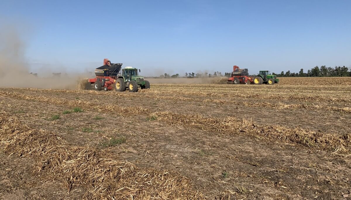 Mario Gerala Poroto Trilla salta