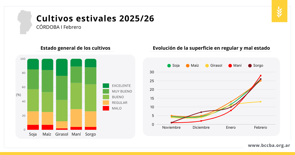 cultivos estivales cba