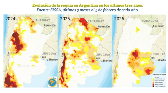 WhatsApp Image 2026 02 13 at 12.26.20 PM 1