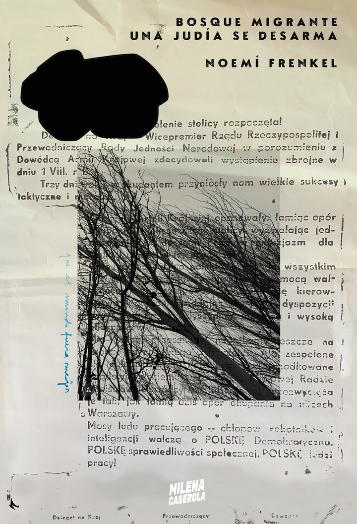 Una judía se desarma, de Noemí Frenkel (Milena Caserola). Foto: gentileza.