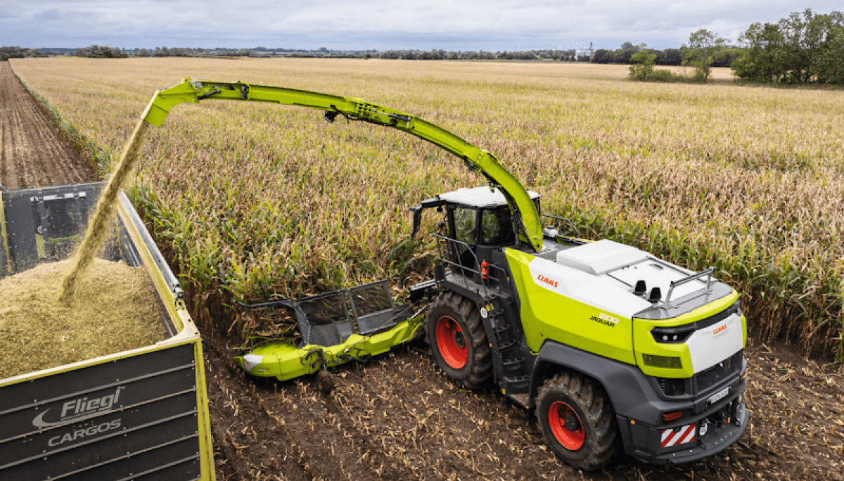picadora maiz forraje claas