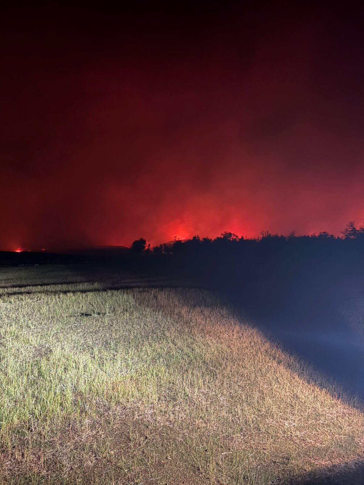 fuego chubut 3