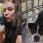 Aprareció «Kira», la perra que fue llevada por un hombre en moto: «Finalmente está con nosotros»