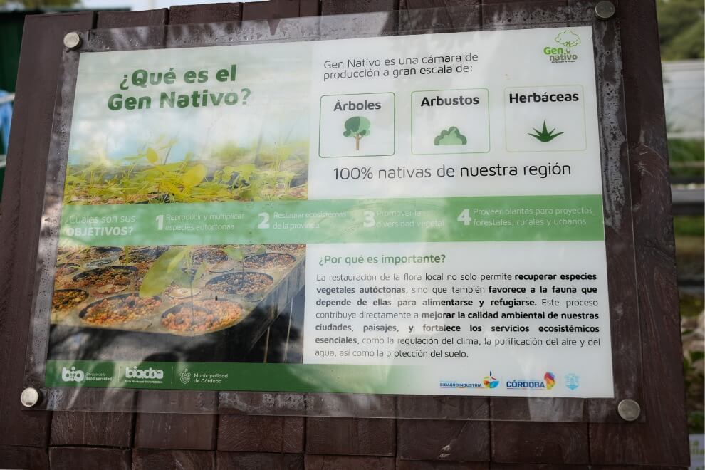 gen nativo