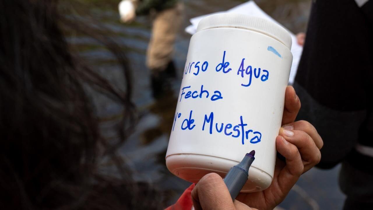 Informe oficial: descartan que la muerte de peces en el río Carcarañá haya sido por fitosanitarios 1 peces carcarana