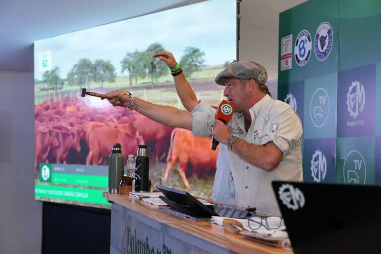 "Muchos lo definen como el ‘Black Friday del agro": Expoagro dejó solicitudes de créditos por U$S 10.000 millones 1 remate en