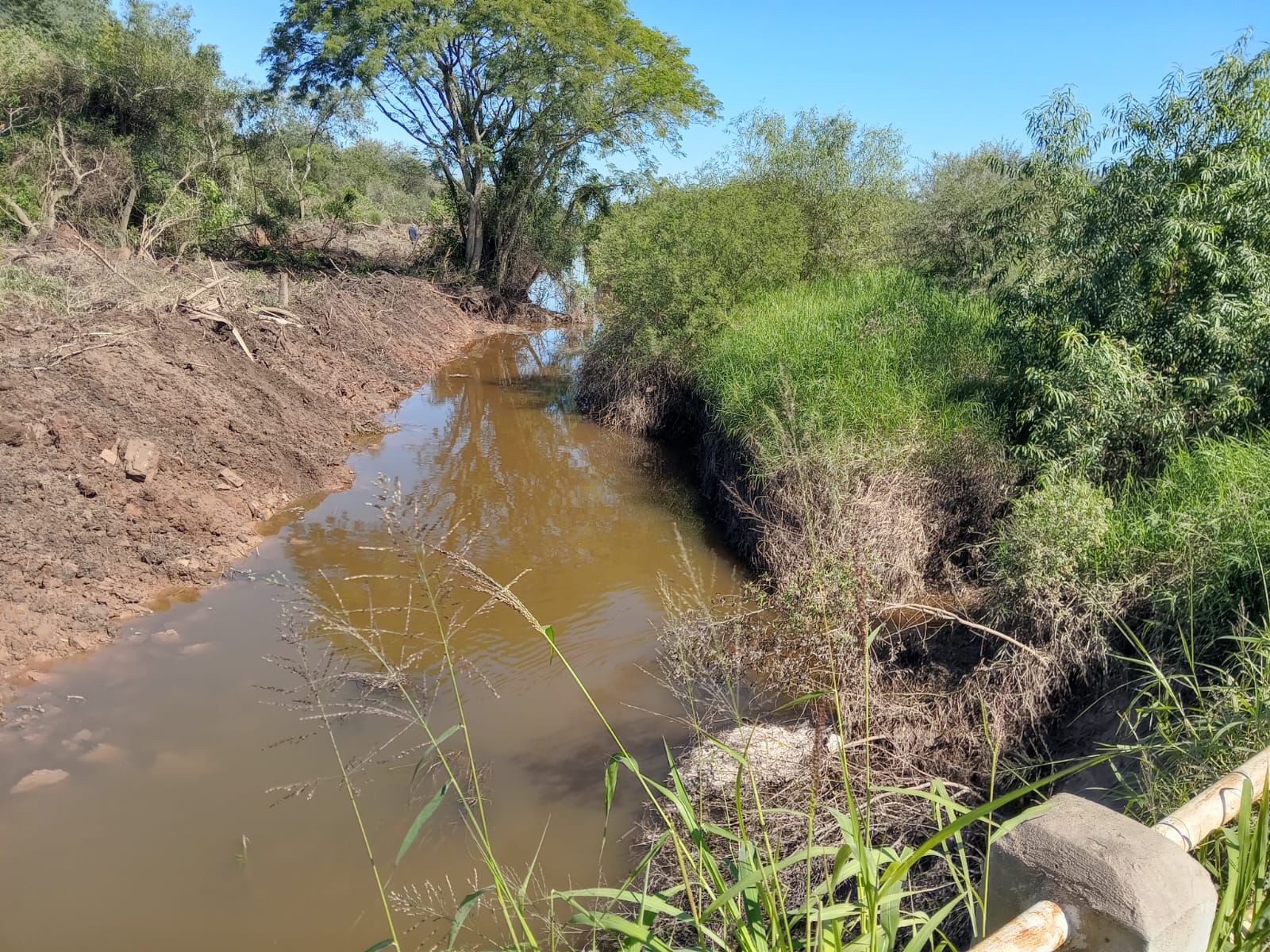 CASTELLI: EL GOBIERNO PROVINCIAL INTENSIFICA LOS TRABAJOS EN EL CANAL 1 PARA MEJORAR EL ESCURRIMIENTO