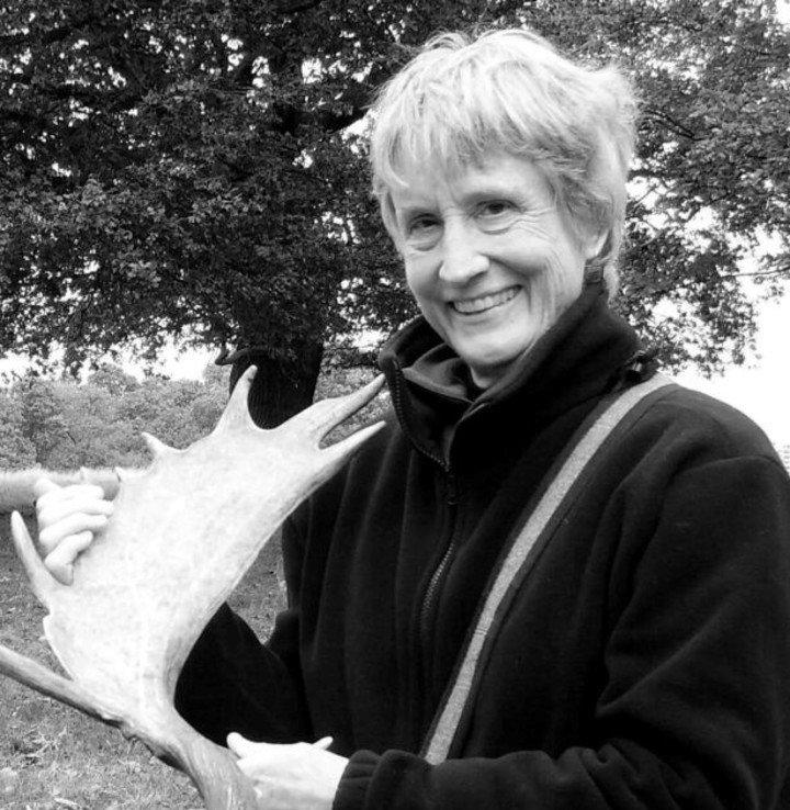 Donna Haraway. Foto: gentileza.