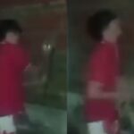 Investigan en Charata un video donde se ve a un menor agredir a un gato