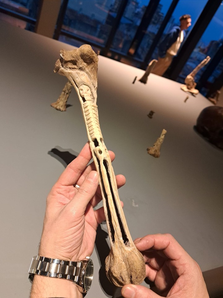 San La Muerte, por Aquiles Coppini. Gentileza