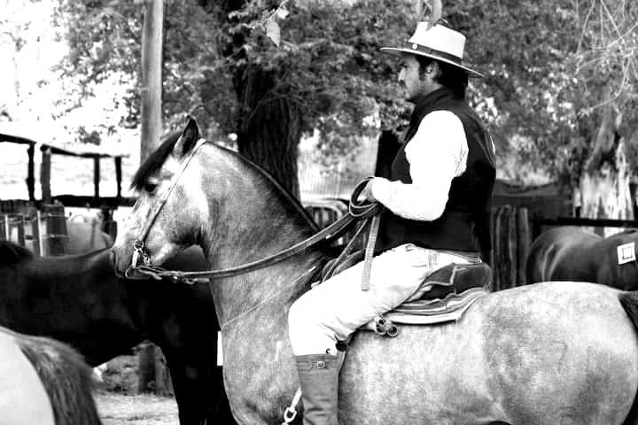 Descargar foto Luciano Trangoni
