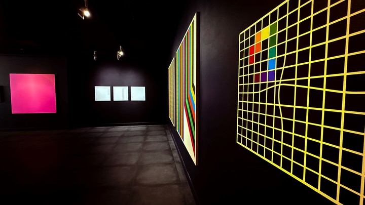 Obra del artista Octavio Blasi es hijo del maestro Antoni Seguí y de la coreógrafa Graciela Martínez. Foto: gentileza.