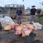 Secuestran 300 kilos de carne sin aval ni medidas de higiene en Miraflores
