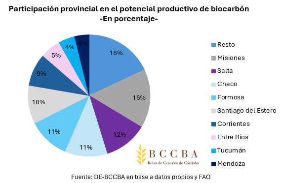 "Biochar": los números y el potencial de otro recurso con el que Argentina puede ser protagonista global 5 6
