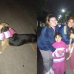 Encontraron a Sasha y una niña de 6 años volvió a abrazar a su mejor amiga