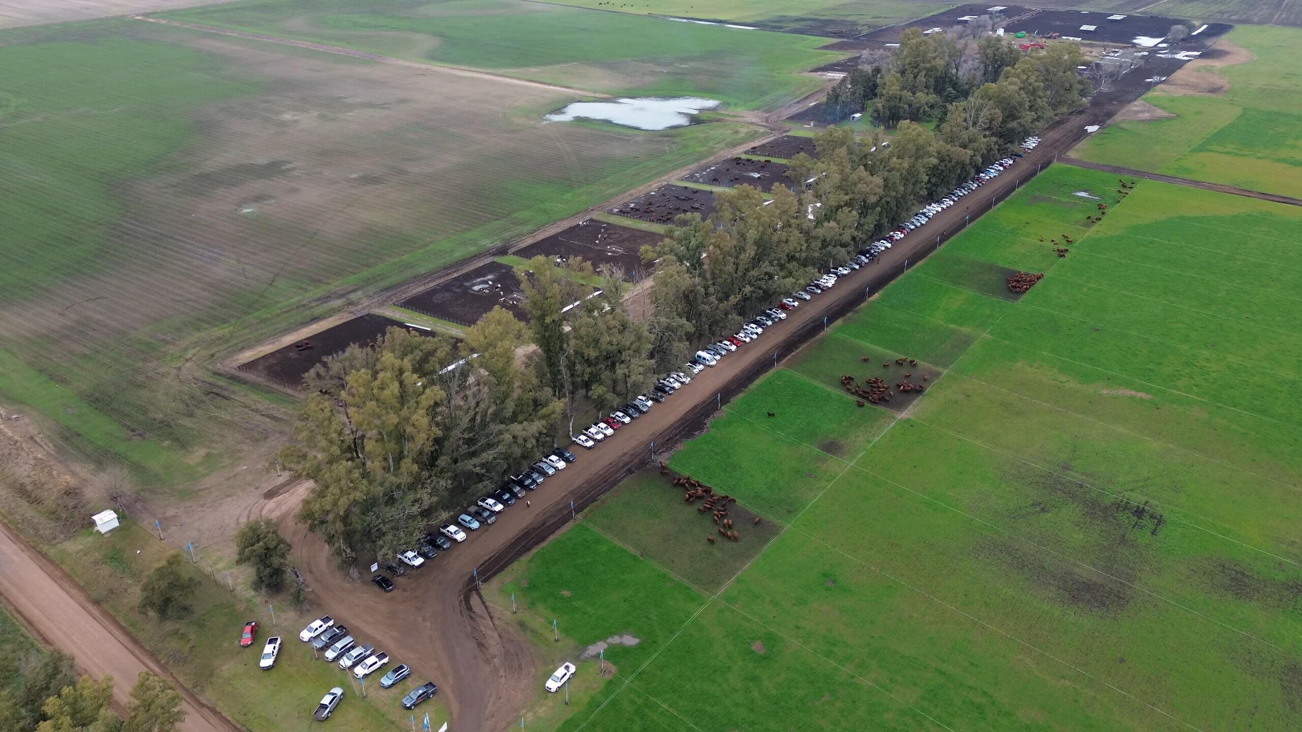 IPCVA JC 9 DE JULIO DRONE 09 scaled