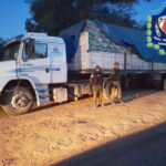 Secuestraron 27 toneladas de carbón vegetal transportadas sin documentación