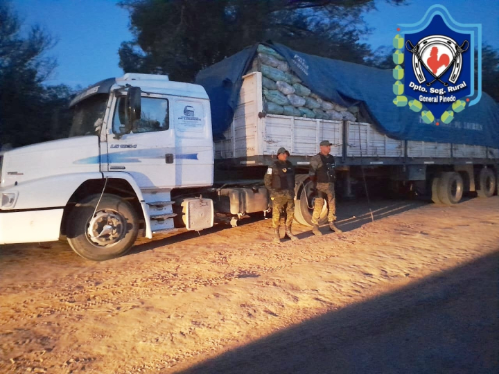 Secuestraron 27 toneladas de carbón vegetal transportadas sin documentación