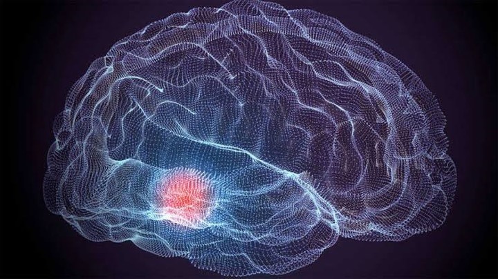 ¿Se pueden recuperar los recuerdos de una persona muerta? La ciencia explora una posibilidad que parecía imposible