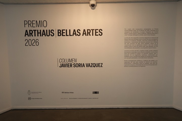 “Columen”, de Javier Soria Vázquez, es la obra ganadora del Premio ArtHaus/Bellas Artes 2026 que se exhibe en el segundo piso del Museo Nacional de Bellas Artes. Foto: Gustavo Cantoni, gentileza MNBA.