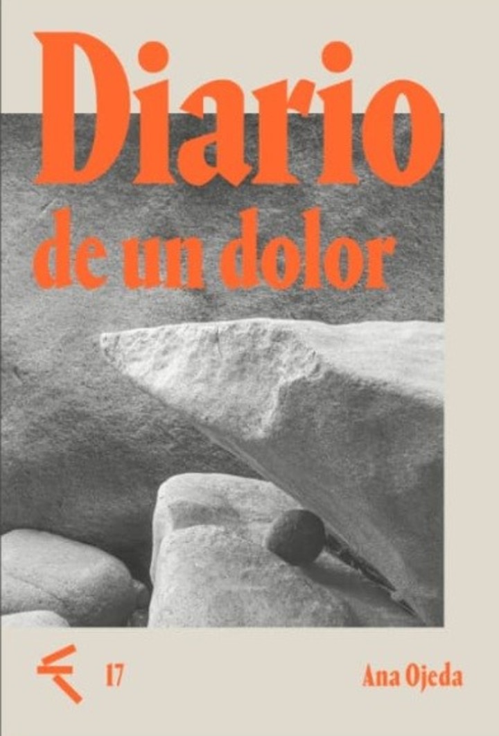 Bosque Energético: Diario de un dolor, de Ana Ojeda. Foto: gentileza.