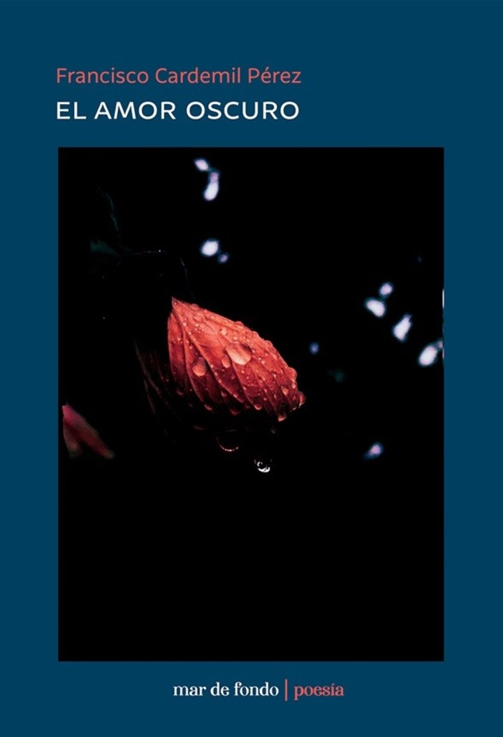 Mar de Fondo: El amor oscuro, de Francisco Cardemil Pérez. Foto: gentileza.