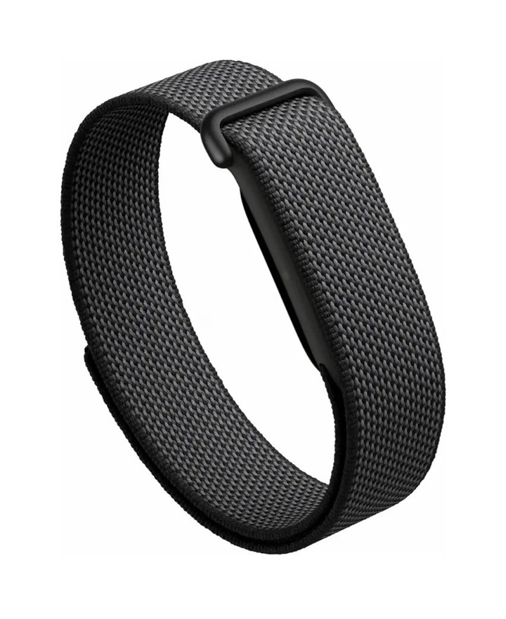 Google Fitbit Air. Ultra liviana orientada a la monitorización pasiva con integración de IA. $ 380.000.