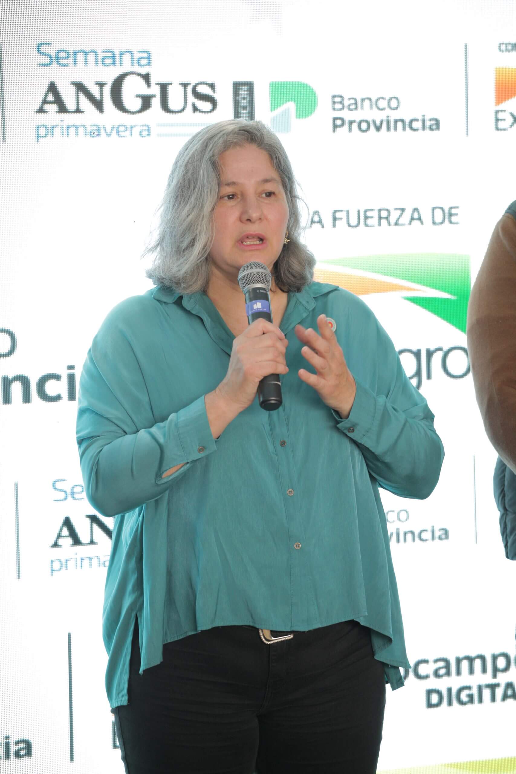 Descargar foto 2