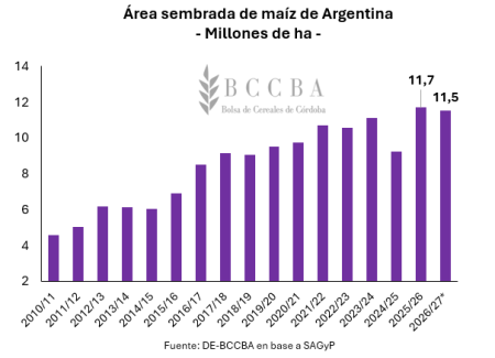 Las flechas apuntan hacia arriba: las señales que entusiasman en los precios de los granos 3 maiz
