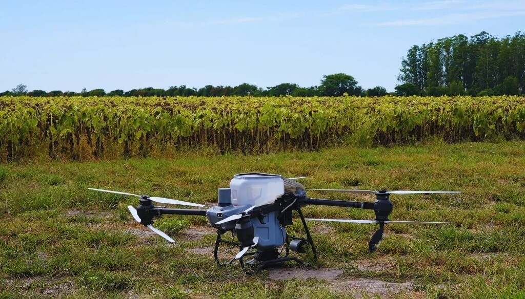 drones girasol 3
