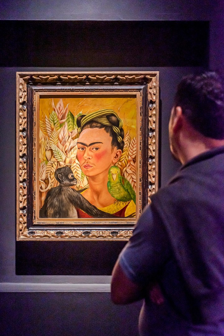 Presentación de Viva Frida. Foto: gentileza.
