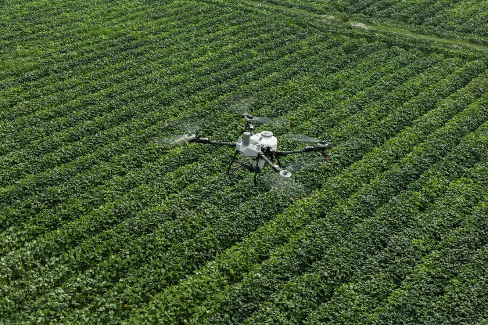 Bidcom Agro 2