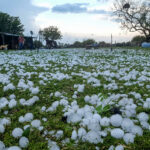 Santa Fe: cerca del límite con Chaco granizada “en seco” mató animales de granja